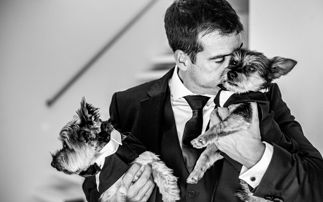 Una Boda de Ensueño en Tarifa: La Historia de Jaime y Amaya