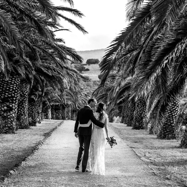 El Cortijo El Aguilón es un lugar mágico para bodas en plena naturaleza, con el encanto rústico andaluz y unas vistas espectaculares. Imagínate una pareja, Ana y David, que decidieron darse el “sí, quiero” en este rincón escondido entre las colinas de Cádiz.
.
www.nachoibanez.com
#fotografodebodasandalucia #bodaenlacaleta #bodasandaluzas #casarseencadiz #fotografiadebodasartistica #bodasconencanto #weddingphotographerandalucia #fotografiabodasmalaga #bodasenelestranjero #loveintarifa