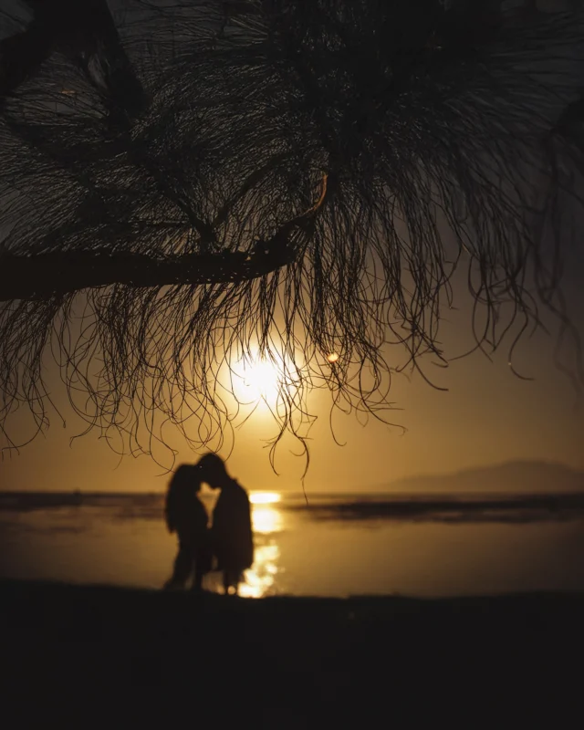 ✨ El atardecer, el mar y vosotros dos ✨
.
Hay momentos que no se pueden describir con palabras, pero sí con una imagen. El instante en el que todo desaparece y solo quedáis vosotros dos, sintiendo el viento, el calor del sol.
.
Porque los recuerdos se desvanecen, pero una imagen te hace volver a ese preciso momento 
.
💌 ¿Te casas? Hablemos.
.
#BodasConAlma #AtardeceresQueEnamoran #FotografíaDeBoda #BodasEnTarifa #ZaharaDeLosAtunes
.
www.nachoibanez.com
.
#BodaEnTarifa #TarifaLovers #ReportajeDeBoda #WeddingInTarifa #LoveInTarifa #FotógrafoDeBodas #CasarseEnTarifa #SesiónDePareja #ElopementSpain #BodasConEncanto